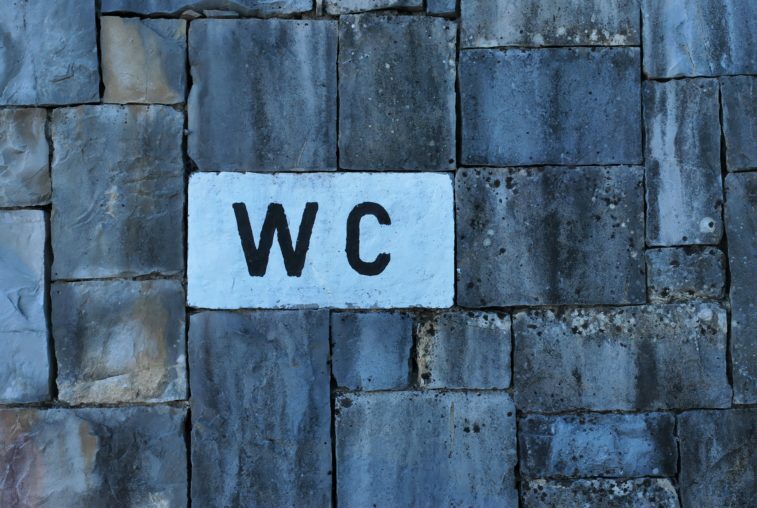 Hero Image for World Toilet Day 2020: sanitation services for the underserved