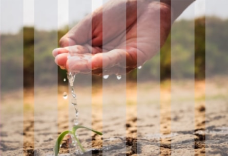 Image for T2-1_article-page-jpg.png