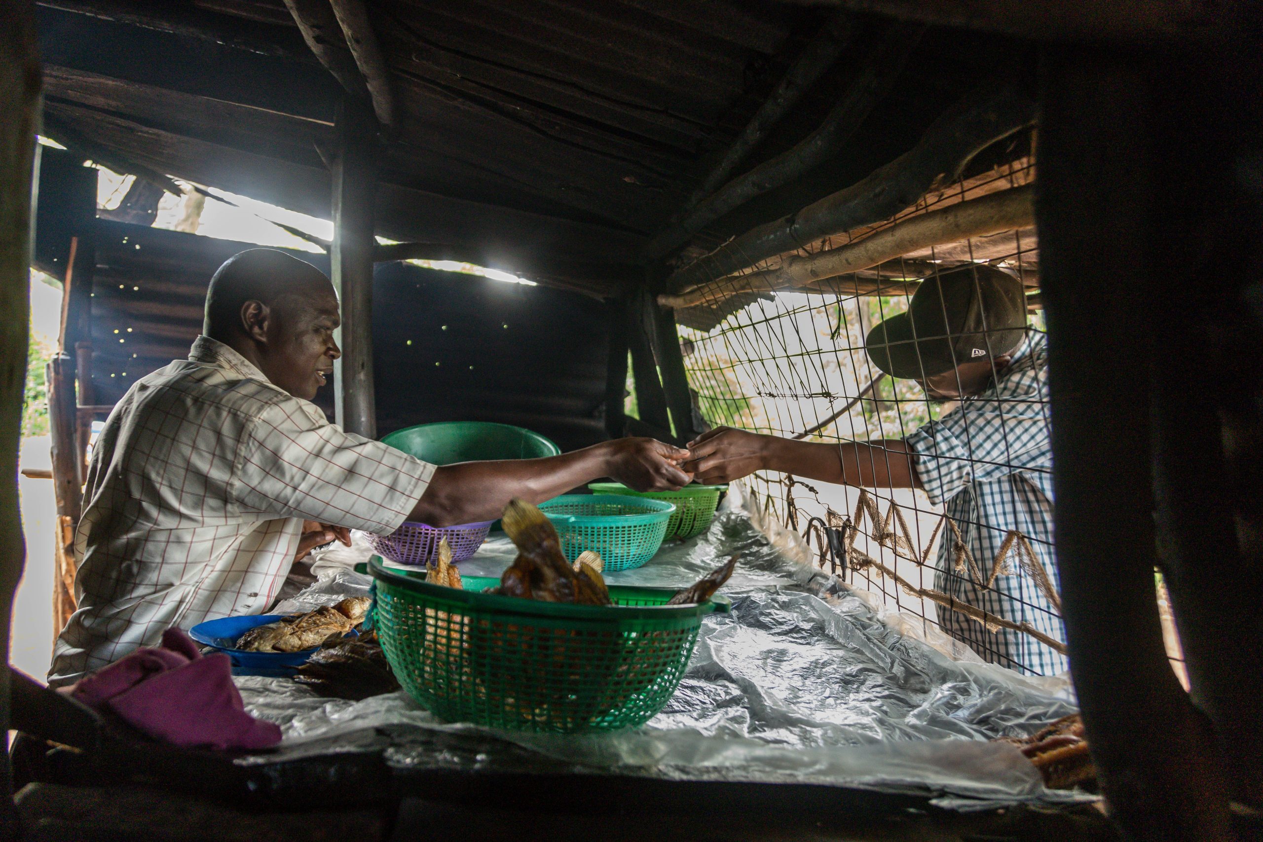 Image for Caleb-11-scaled.jpg