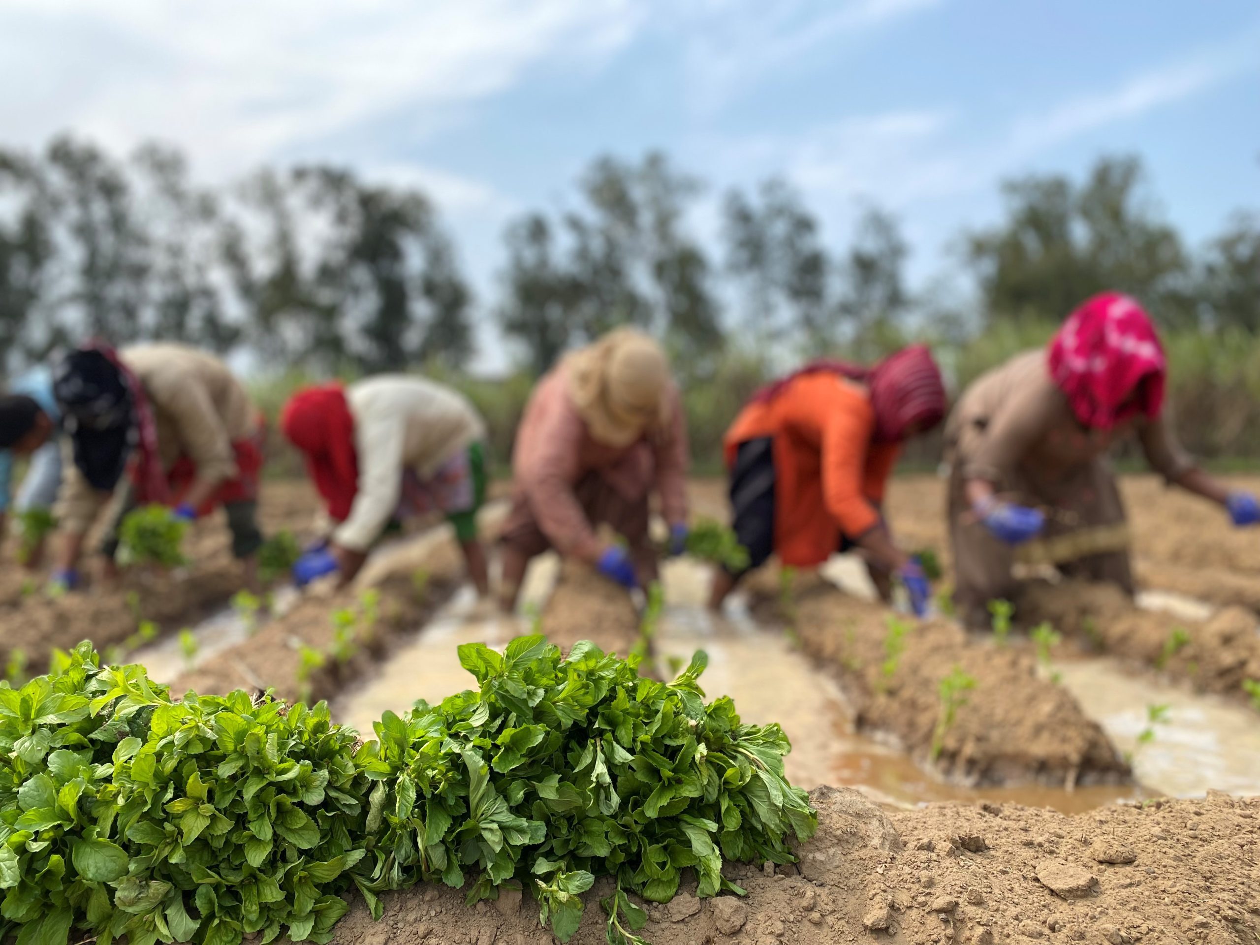 Image for 43-scaled-1.jpg