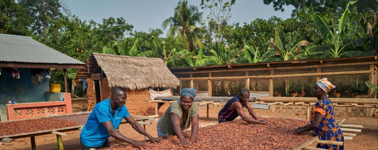 Farm Services and Income Diversification Project by Barry Callebaut