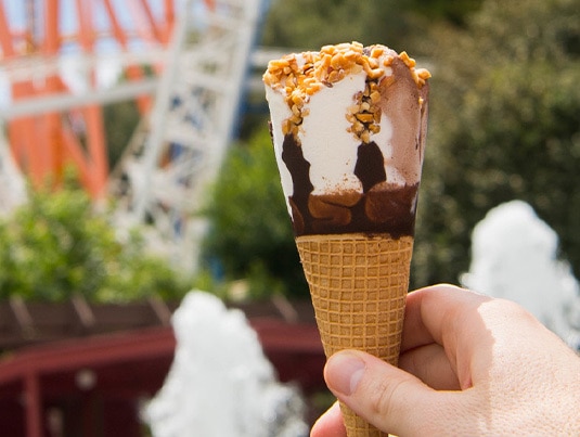 Hand holding a Giant King Cone