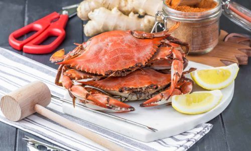 Yuk, Pelajari Cara Makan Kepiting Seperti Seorang Penikmat Kuliner Profesional!
