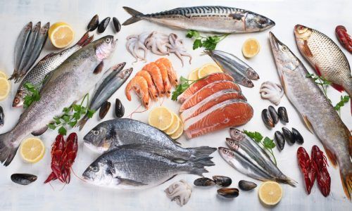Cara Membersihkan Ikan Segar Buat Pemula yang Mudah Untuk Dicoba