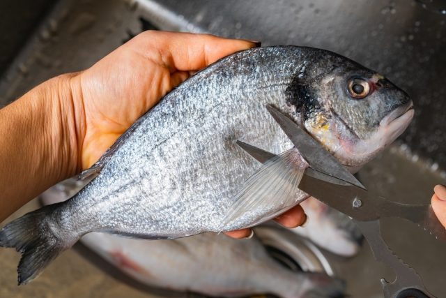 Cara Membersihkan Ikan Segar Buat Pemula yang Mudah Untuk Dicoba