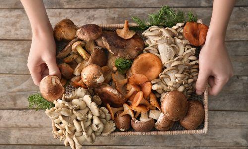 5 Resep Masak Jamur Sedap dan Mudah Sesuai Jenisnya