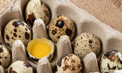 3 Olahan Telur Puyuh untuk Si Kecil yang Susah Makan