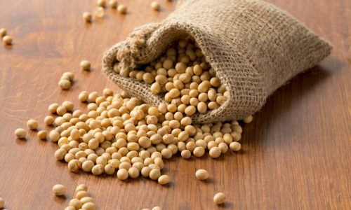 Tertarik Semarak Bisnis Tempe di Mancanegara? Kenali Proses Pembuatan Tempe Berikut Ini!