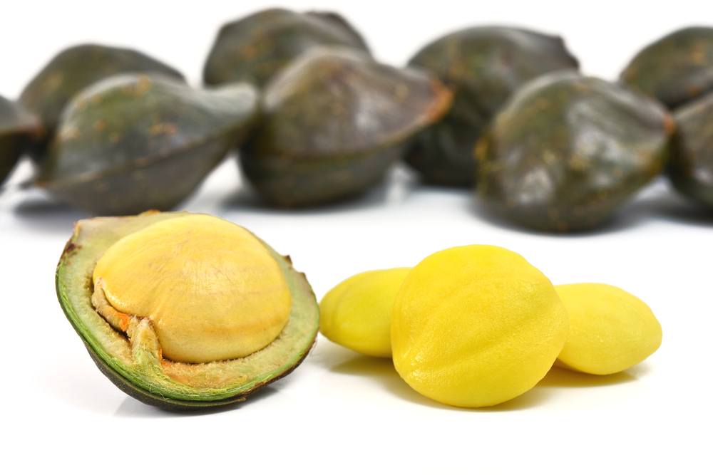 5 Cara Masak Semur Jengkol Tanpa Bau