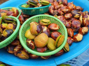 5 Cara Masak Semur Jengkol Tanpa Bau