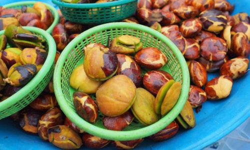 5 Cara Masak Semur Jengkol Tanpa Bau