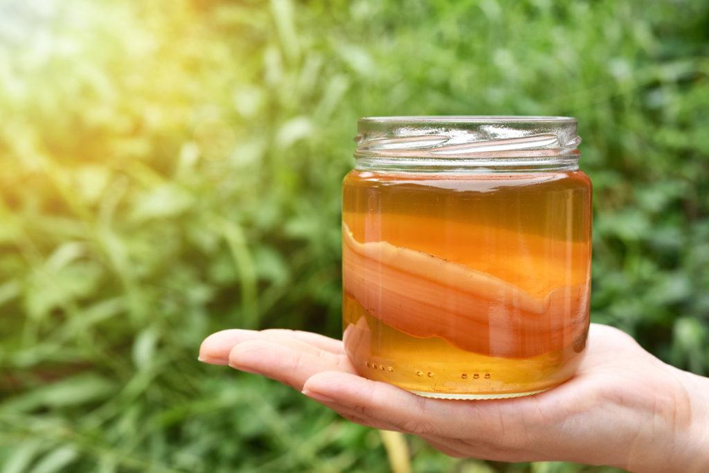 Kombucha Adalah Tren Kekinian yang Perlu Kamu Ketahui