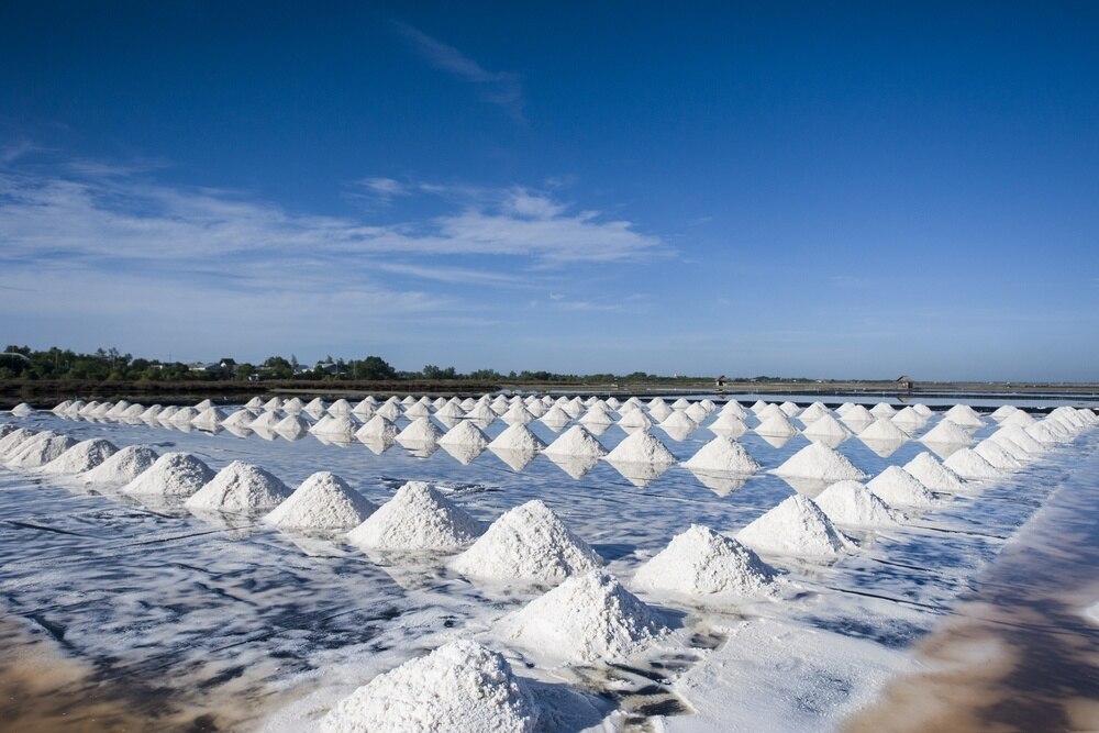 Ketahui Kekayaan Manfaat Garam Laut dan Perbedaannya dengan Garam Meja