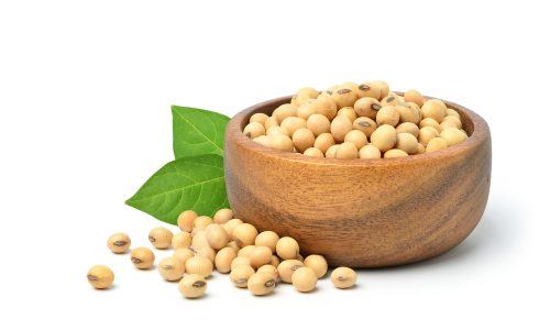 Kaya Protein, Inilah 5 Manfaat Kacang Kedelai Untuk Tubuh