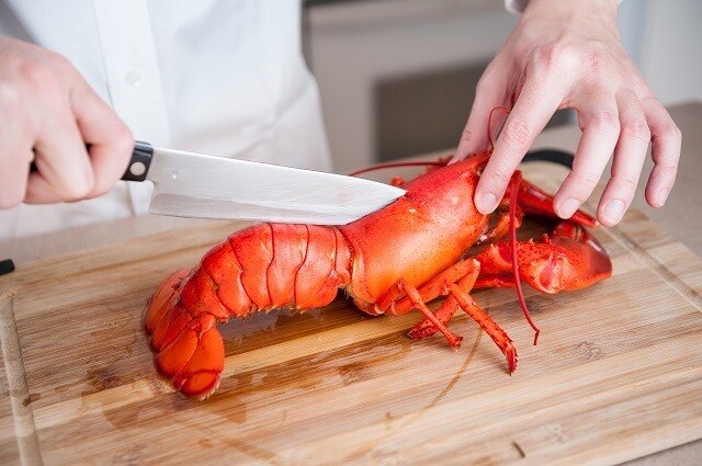 Kata Siapa Masak Udang Sulit? Ini Dia Tipsnya!