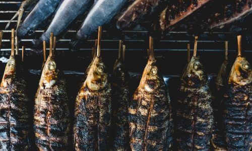 Identik Dengan Sajian Imlek, Inilah Inspirasi Resep Bandeng