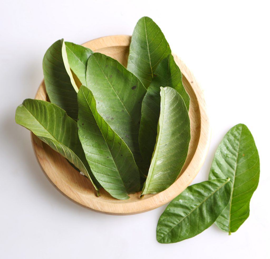 Cara Mengolah Daun Pepaya Agar Tak Pahit