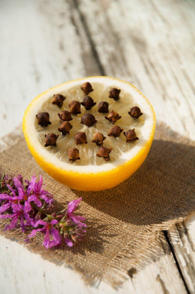 5 Cara Mengusir Lalat Secara Alami Agar Dapur Lebih Higienis