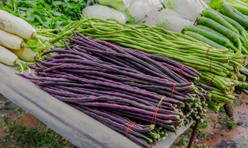 Suka dengan Tumis Kacang Panjang? Ketahui Segudang Manfaatnya Bagi Kesehatan