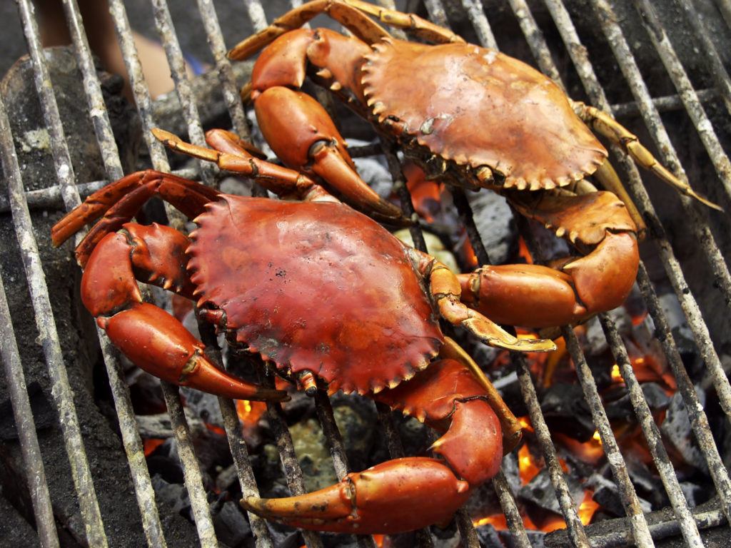 Tips Memasak Kepiting Anti Ribet