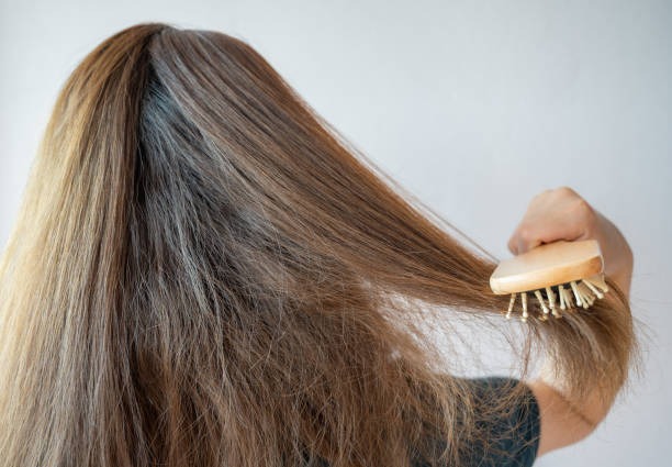 Ways To Add Moisture Back Into Your Hair: Top 5