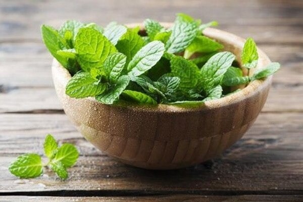 mint for skin