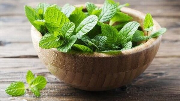 mint for skin