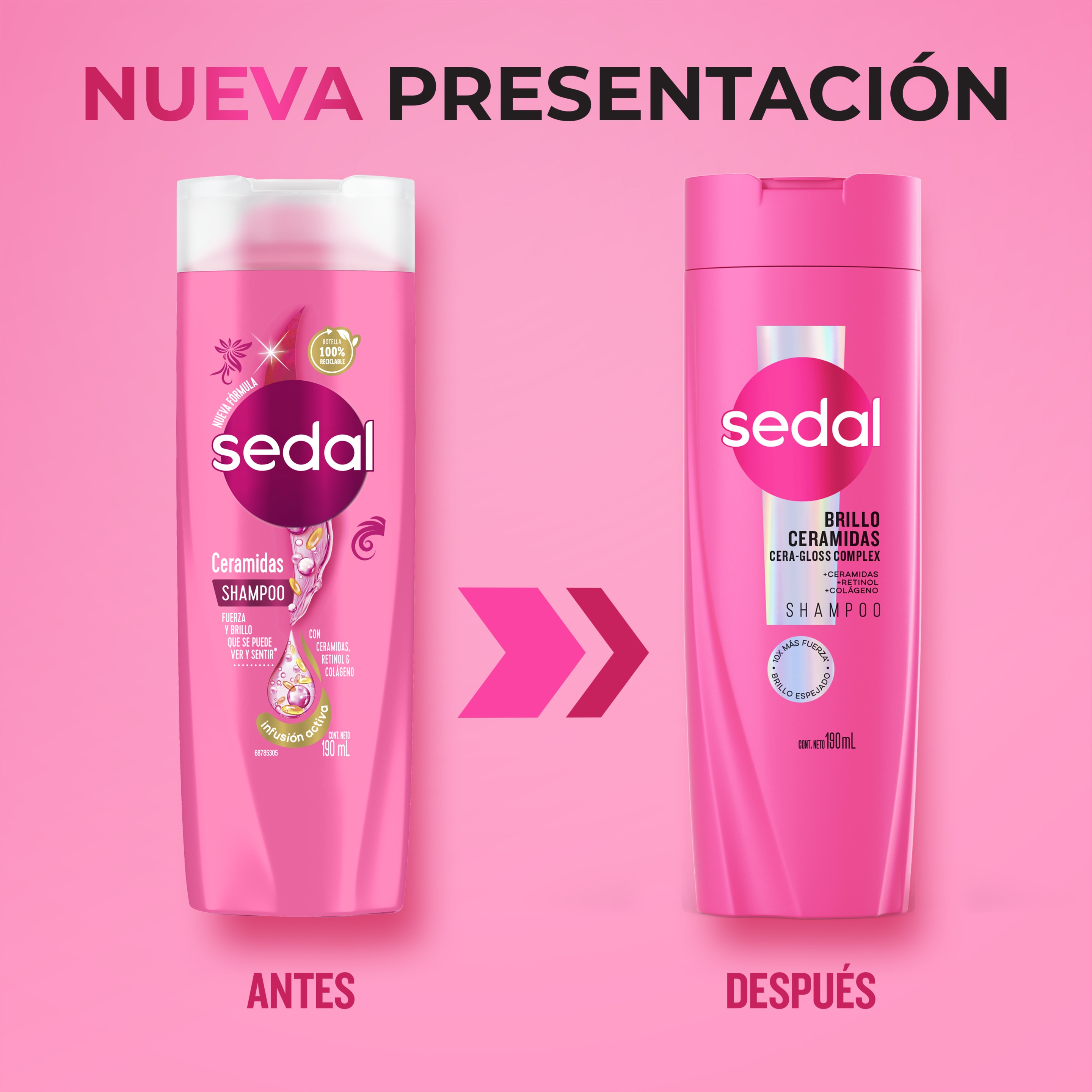 Sedal Ceramidas Shampoo