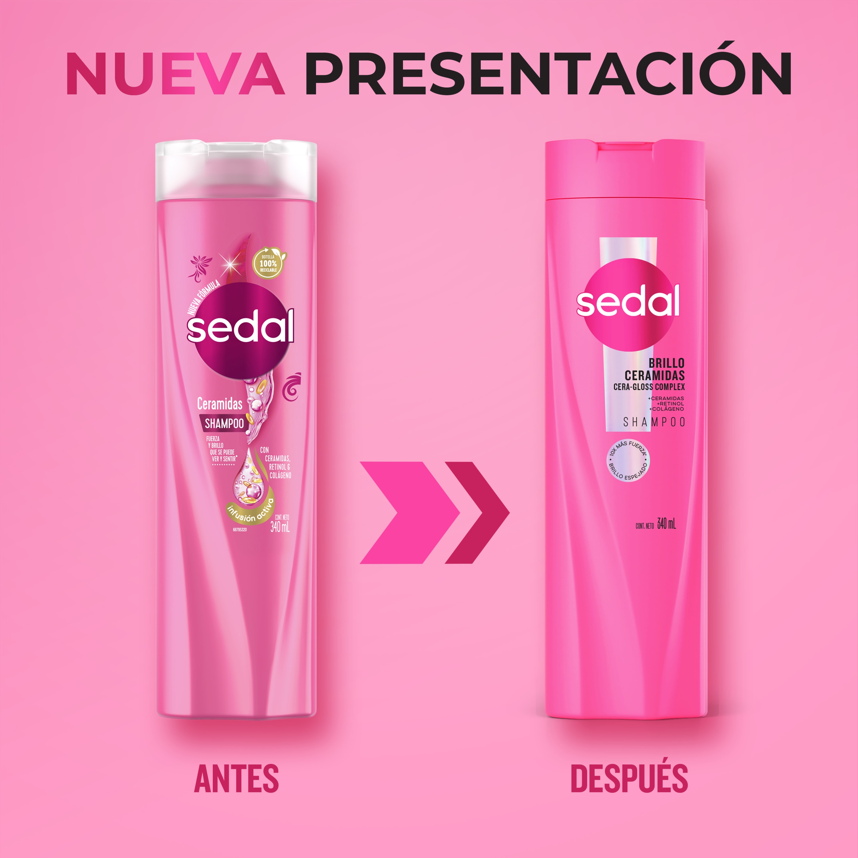 Sedal Ceramidas Shampoo