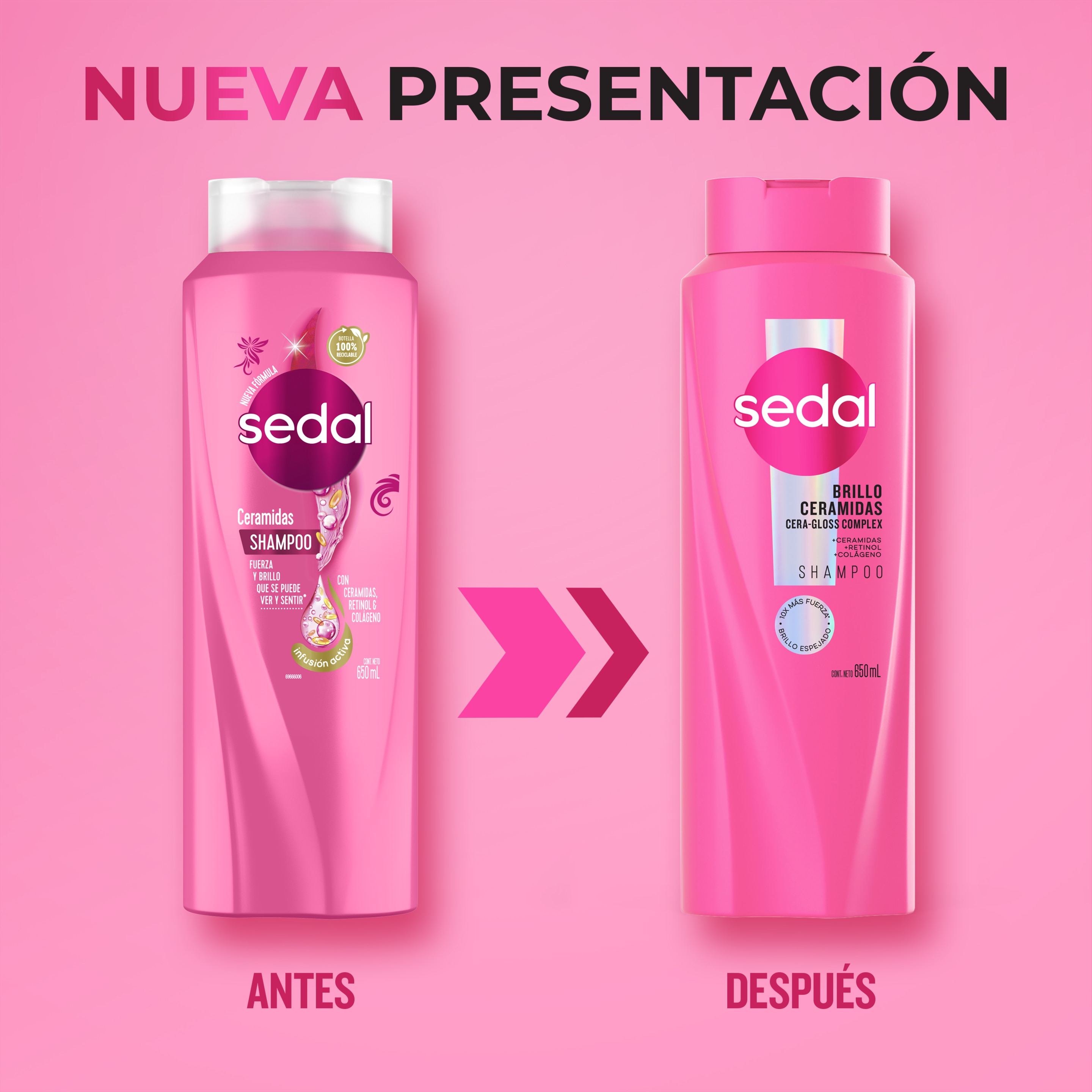 Sedal Ceramidas Shampoo