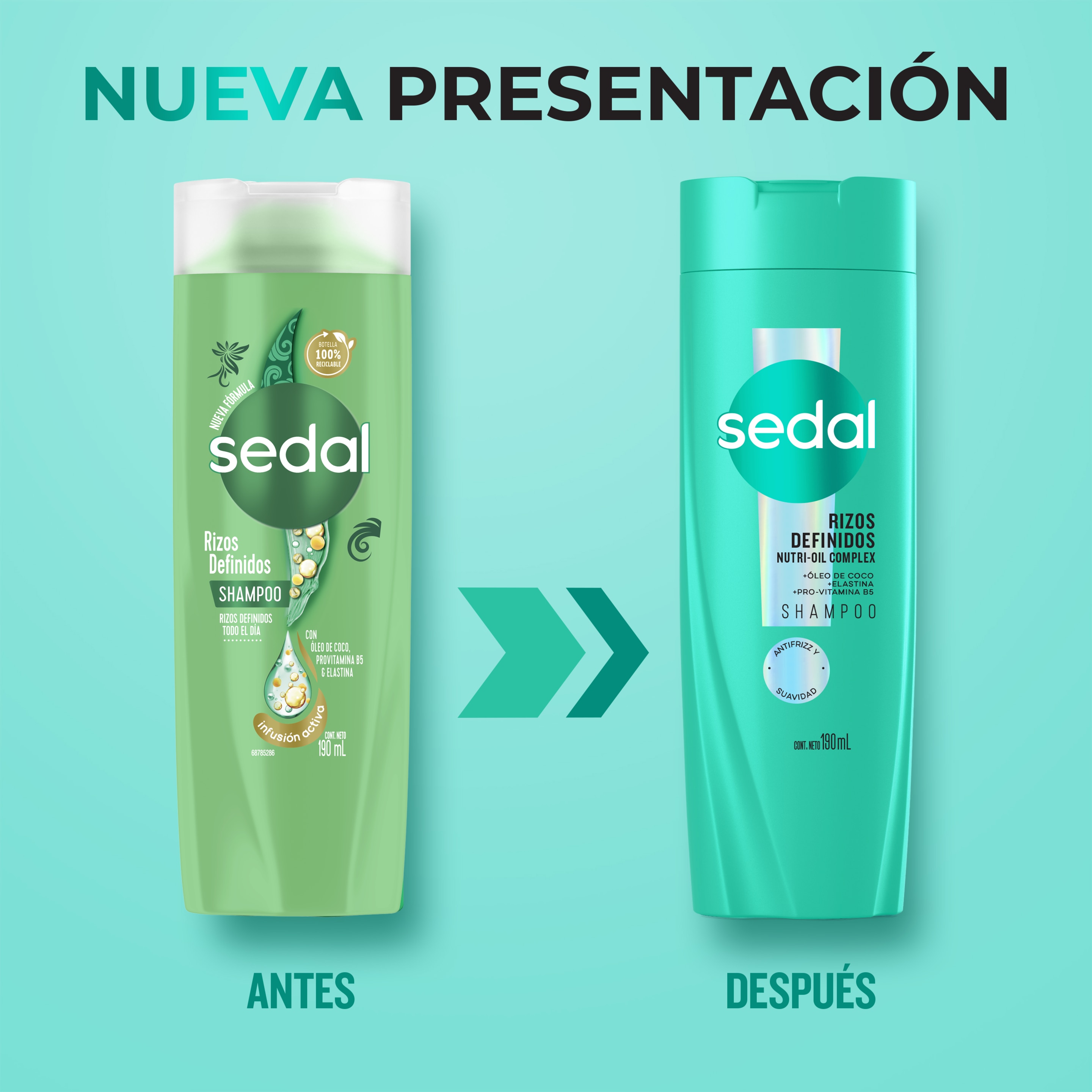 Sedal Rizos Definidos shampoo