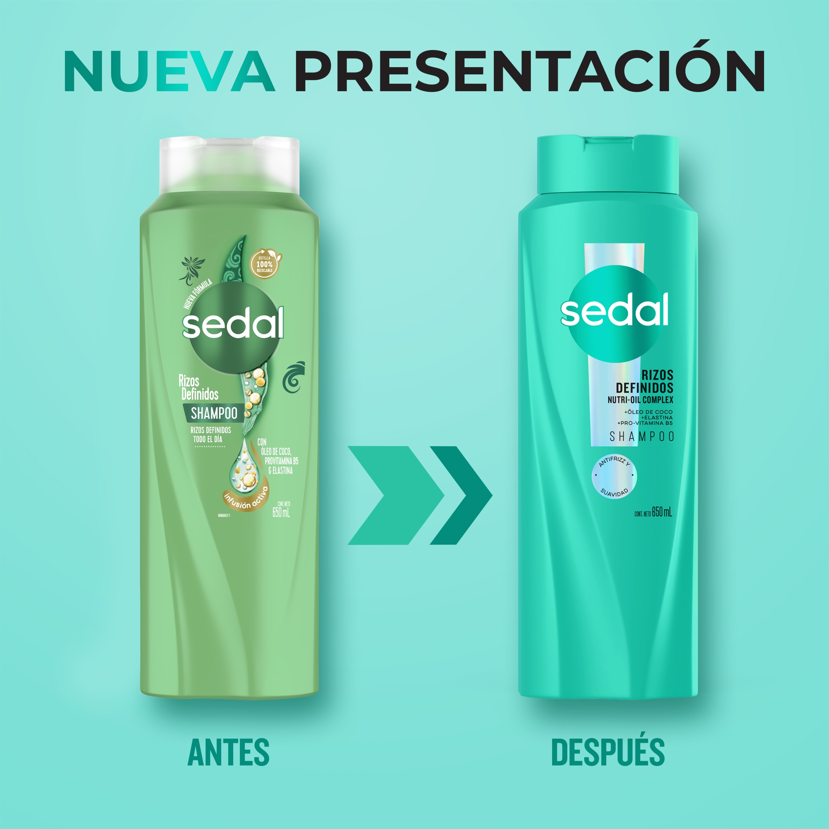 Sedal Rizos Definidos shampoo