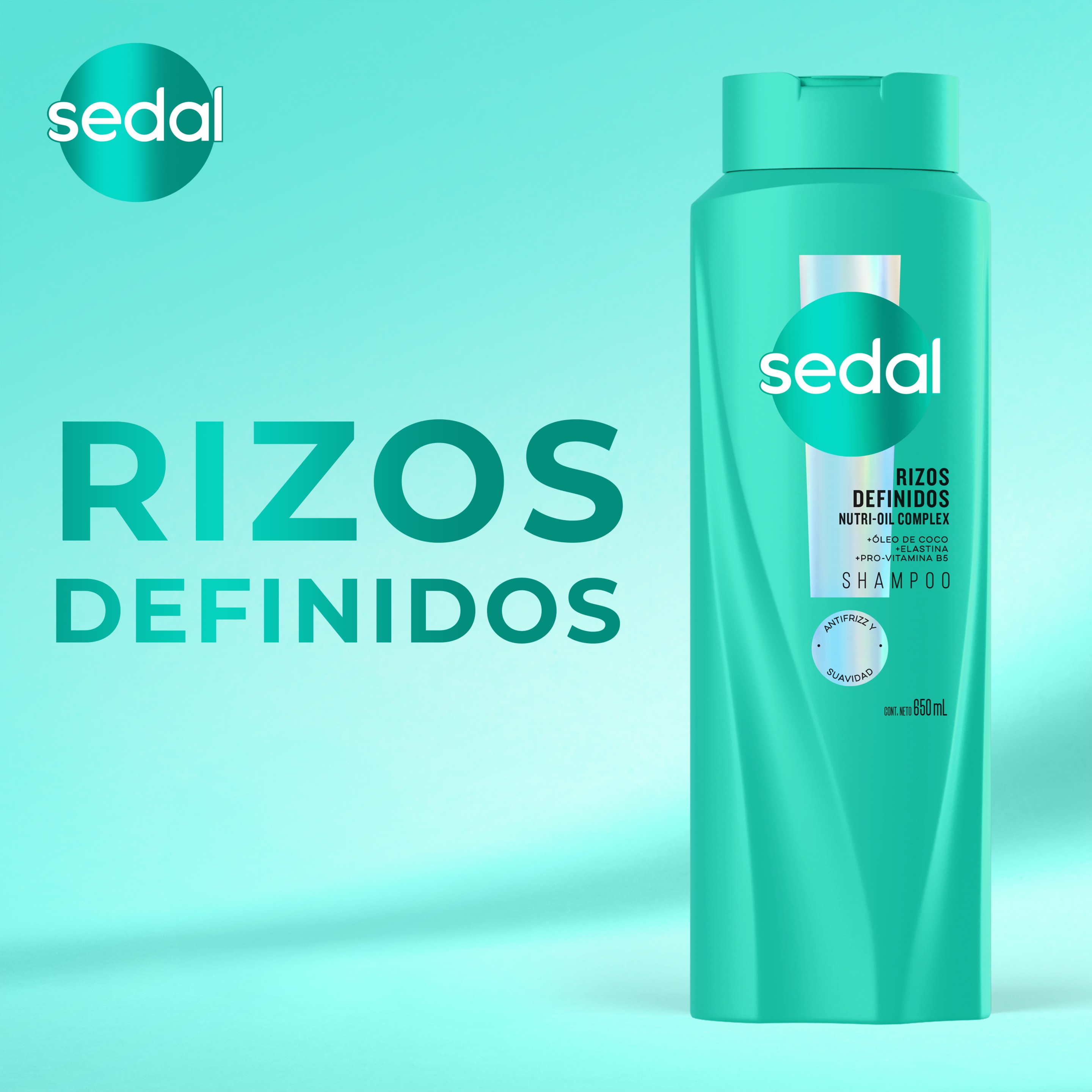 Sedal Rizos Definidos shampoo