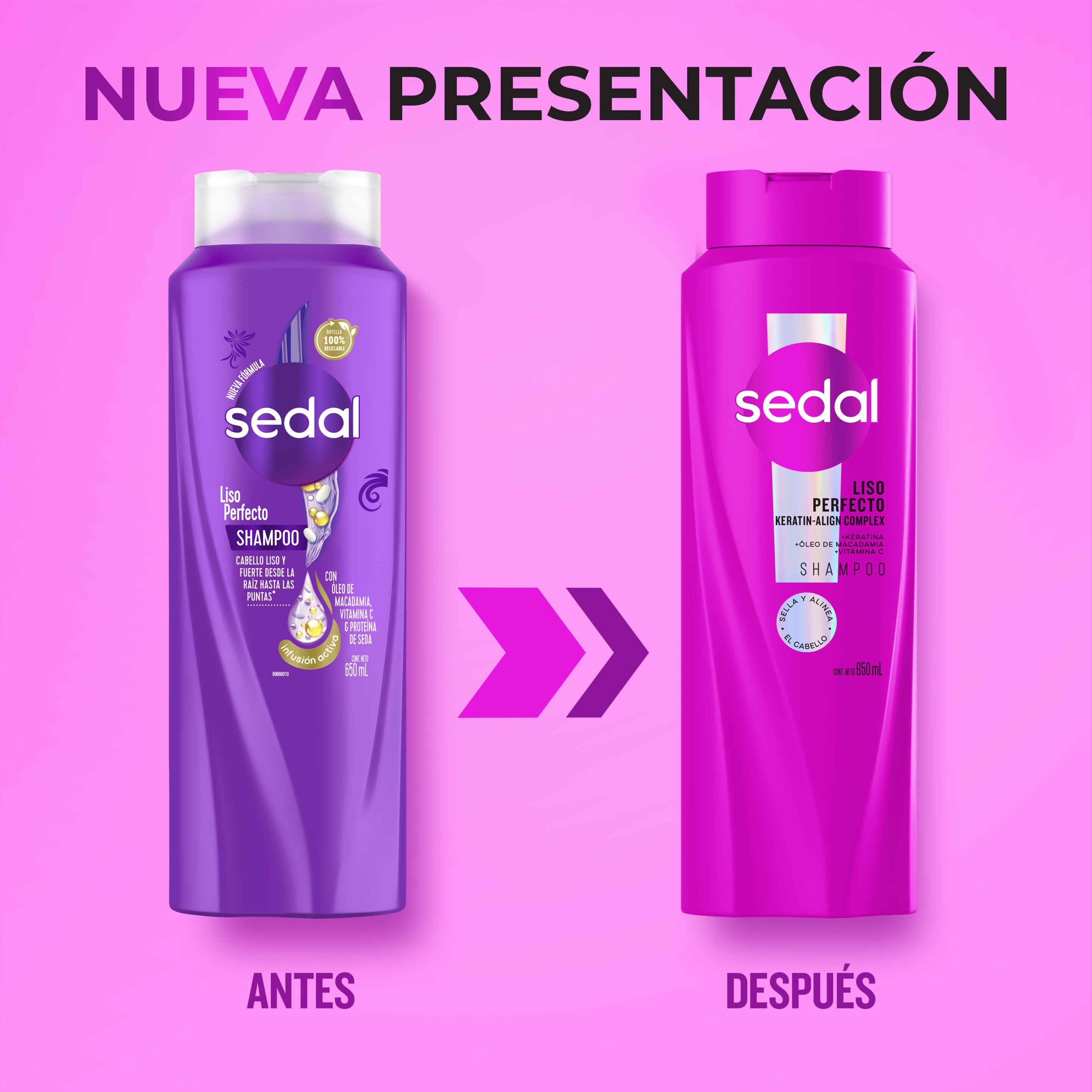 Sedal Liso Perfecto Shampoo
