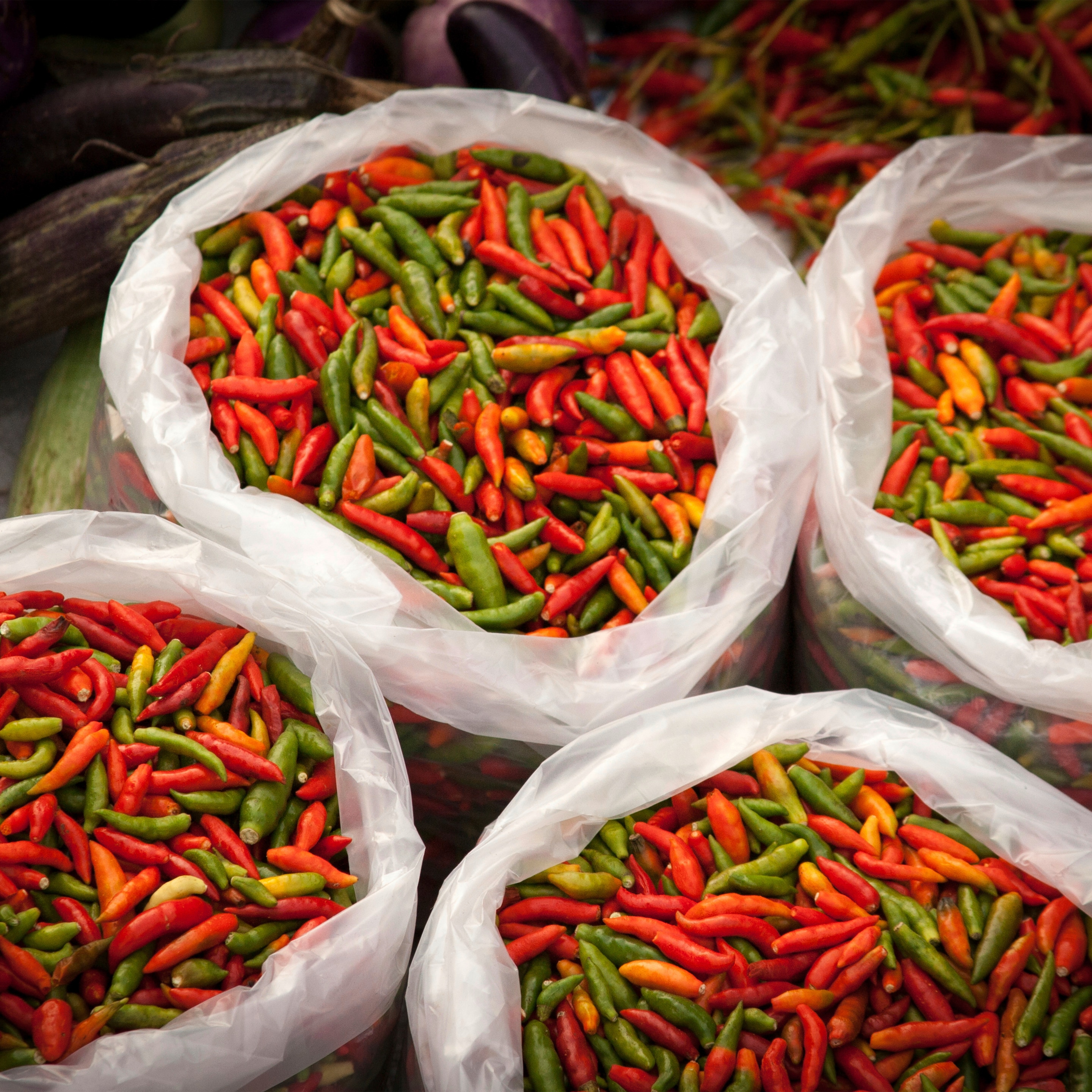 Wat voor chilis zijn er? | Conimex