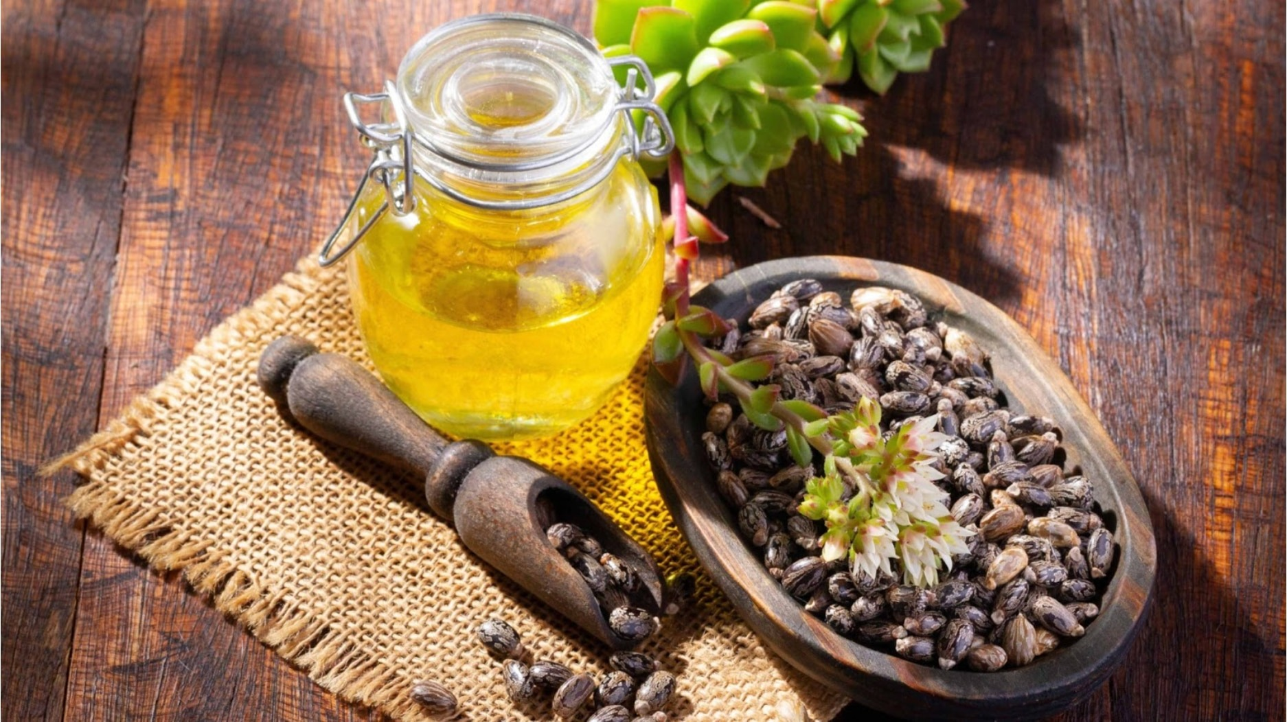 Castor Oil Benefits for Hair