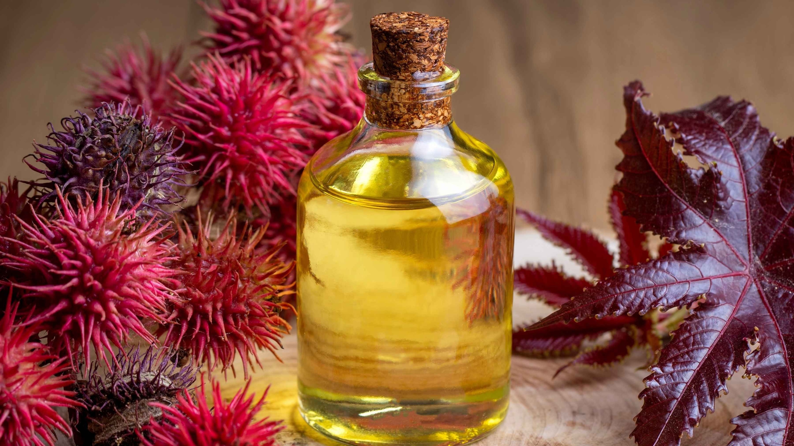 Image of Castor Oil for Hair: Benefits, Uses & Tips to Boost Hair Growth Naturally