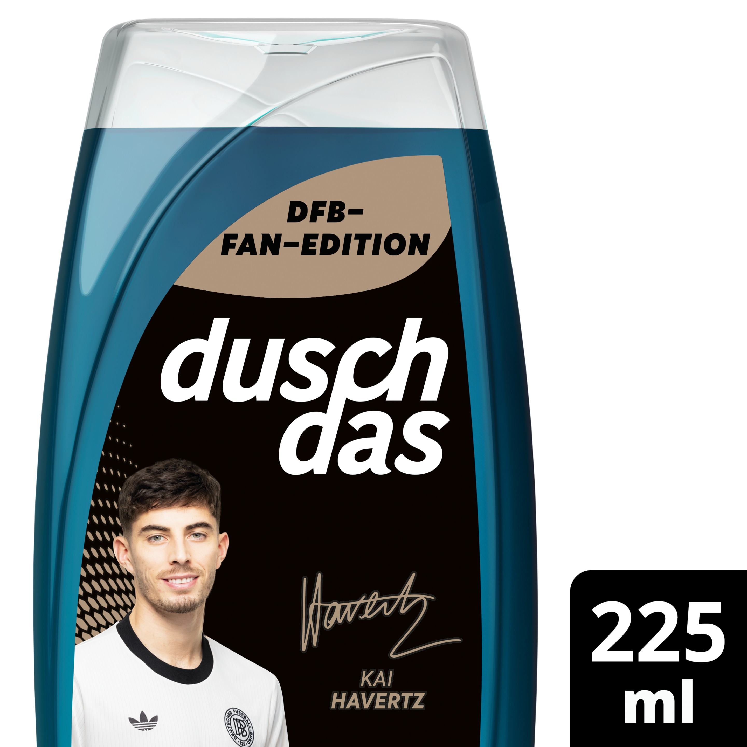 DFB Fan-Edition