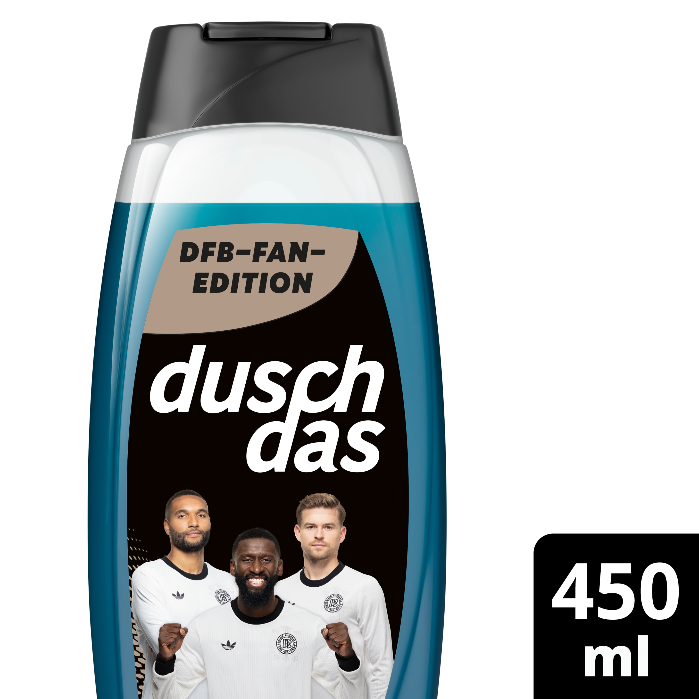 DFB Fan-Edition