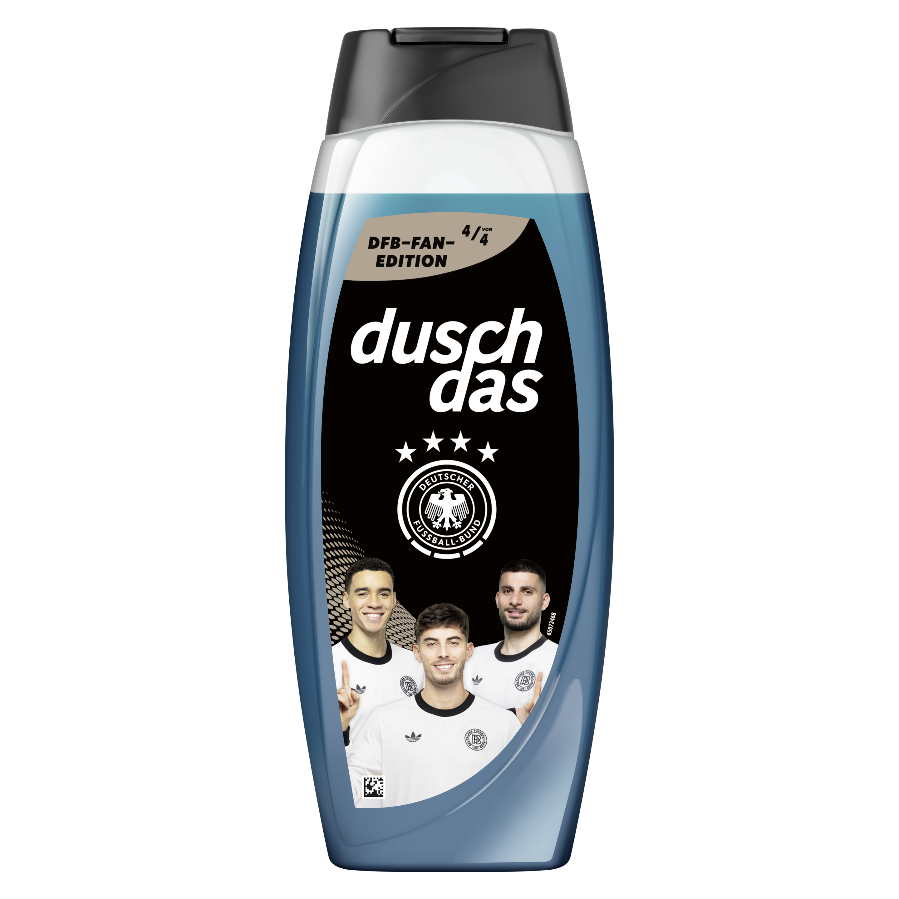 DFB Fan-Edition