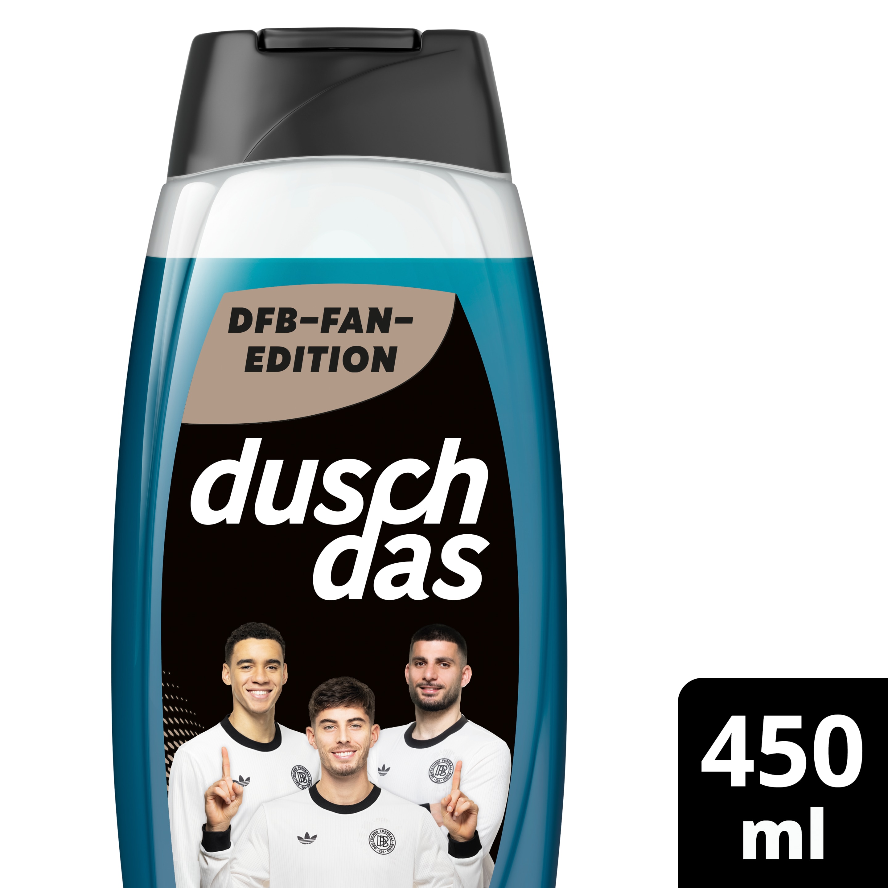 DFB Fan-Edition