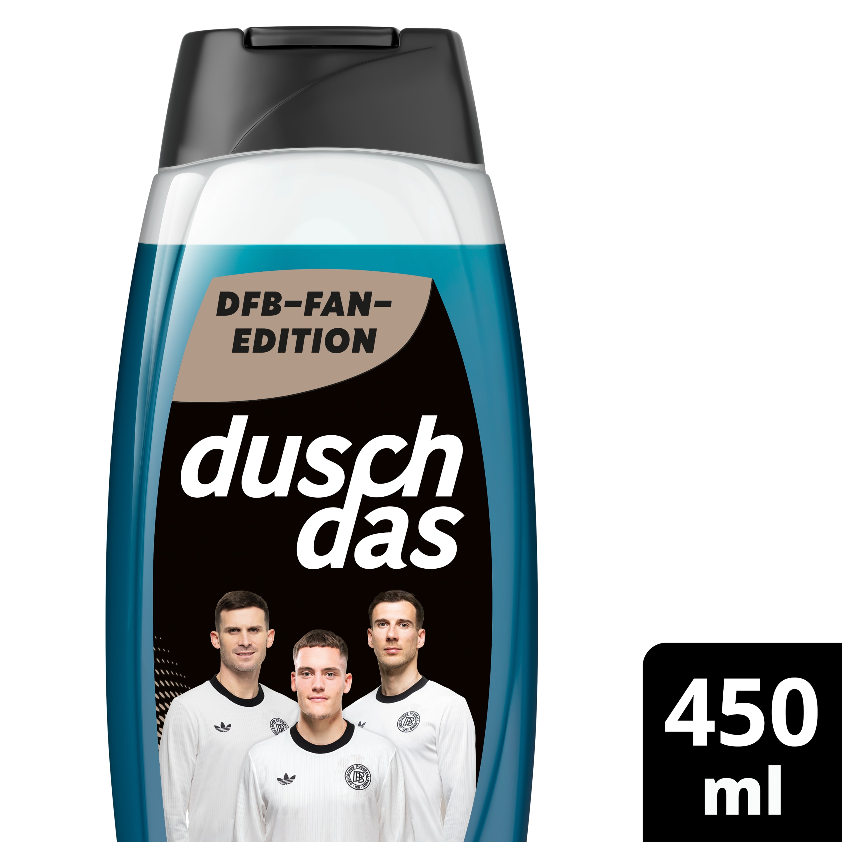 DFB Fan-Edition