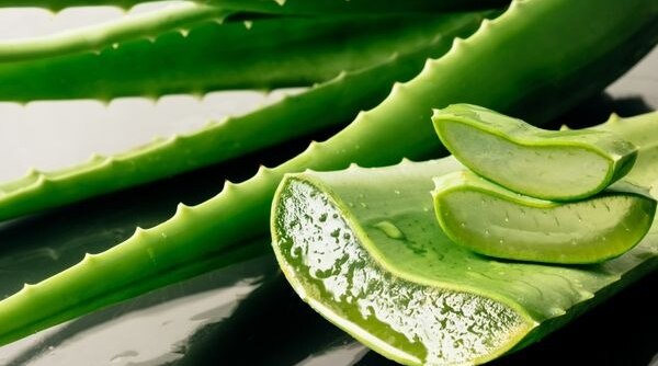 5 Ways In Which You Can Employ Aloe Vera Gel To Serve Your Hair