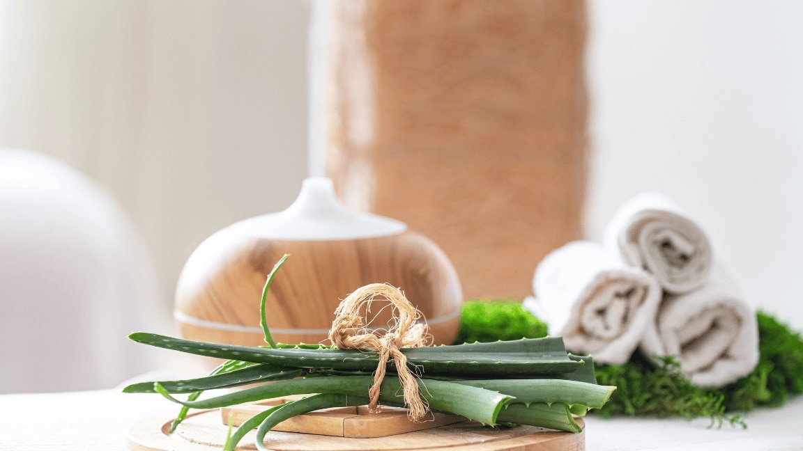 8 Aloe Vera Benefits for Skin you Need to Know