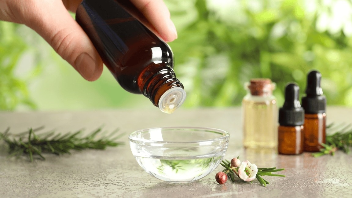 How To Use Tea Tree Oil For Hair: Benefits Of Tea Tree Oil For Hair
