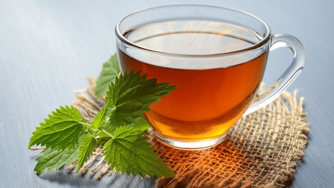 Green Tea Benefits for your Hair you Should Know