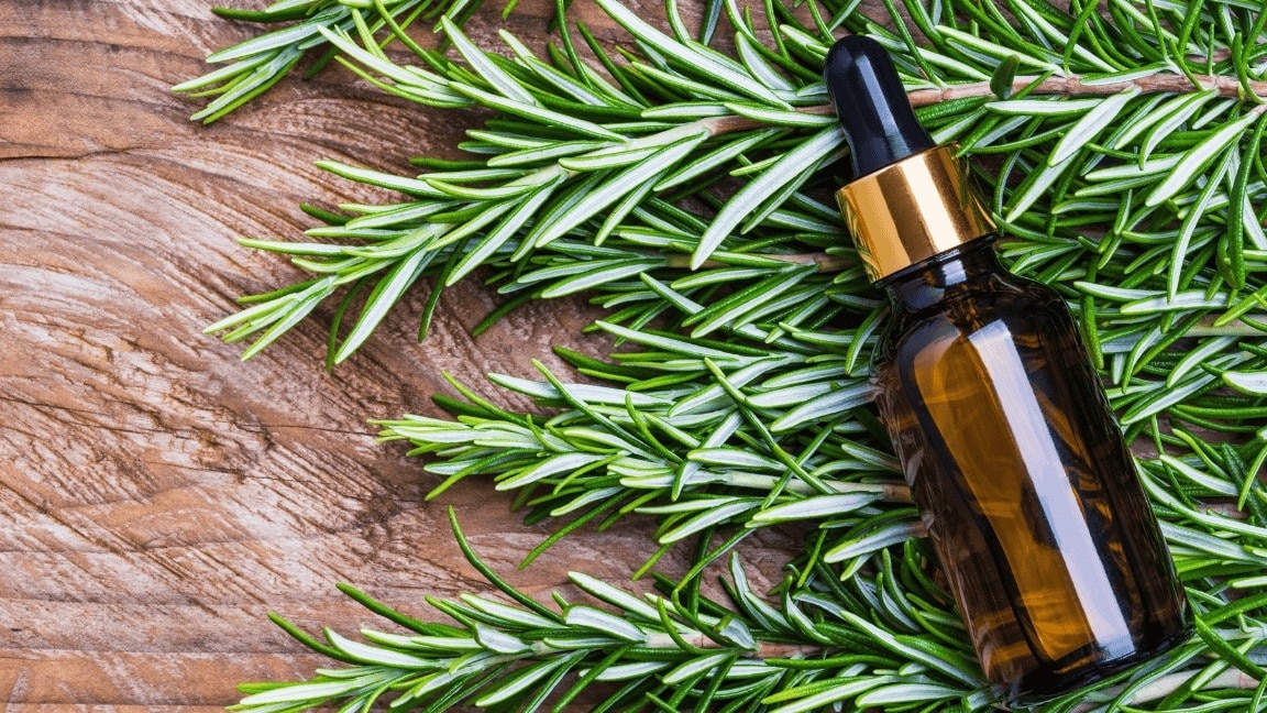 Rosemary Oil for Hair: Benefits, Growth & How to Use It for Best Results