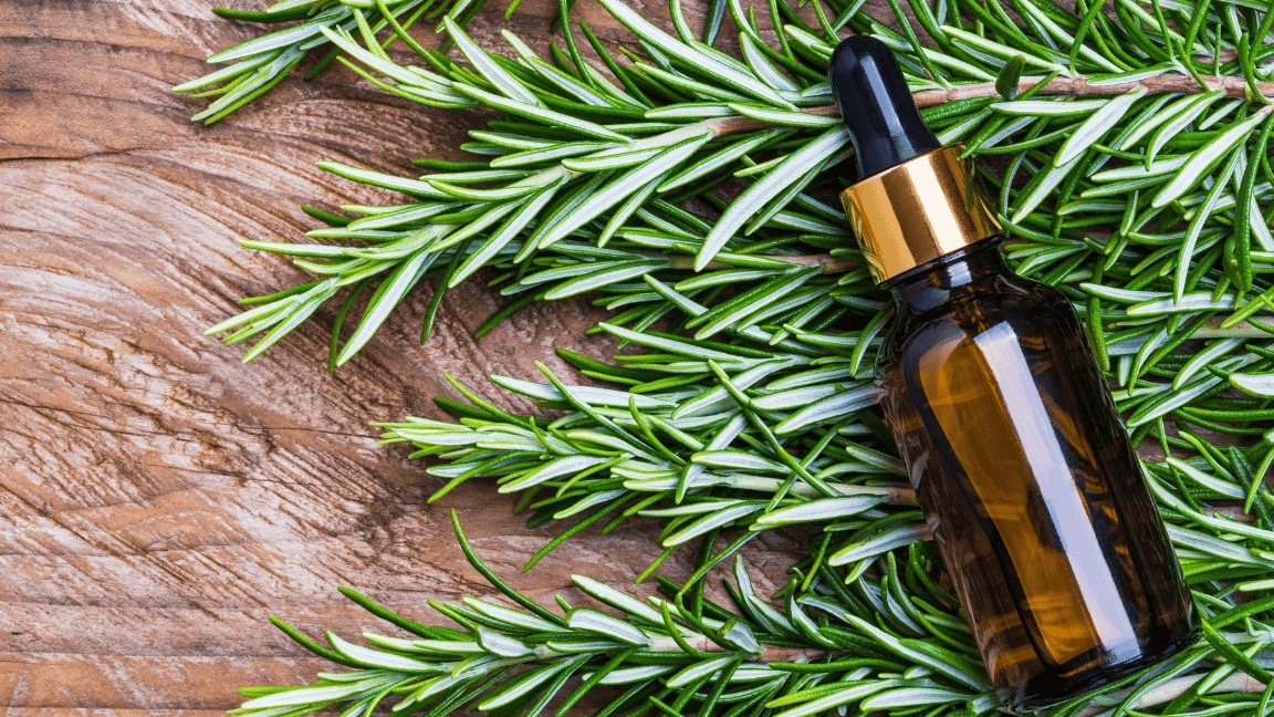 Rosemary Oil for Hair: Benefits, Growth & How to Use It for Best Results