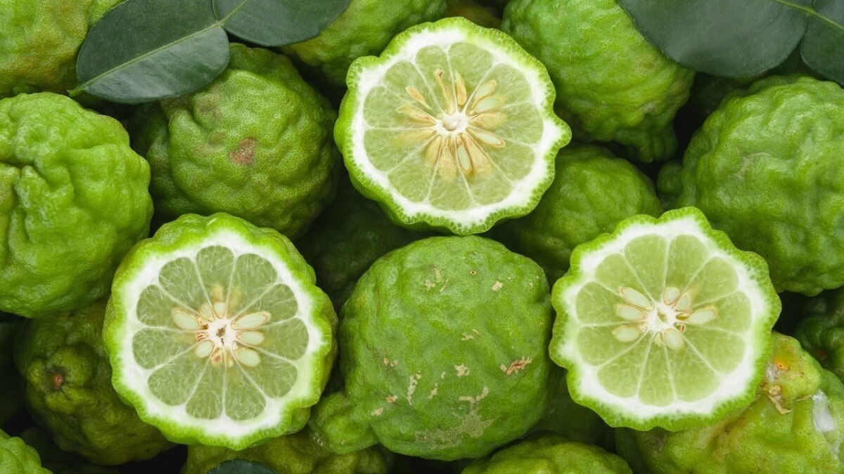 Essential Oil #2 – Bergamot Oil