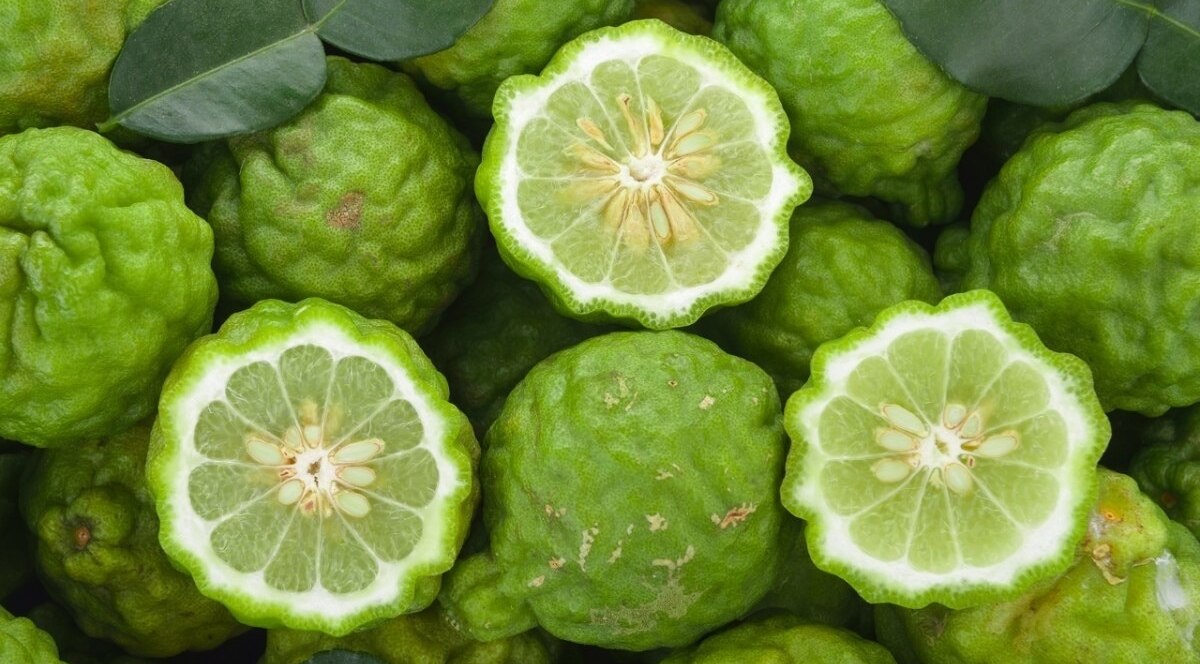 Essential Oil #2 – Bergamot Oil